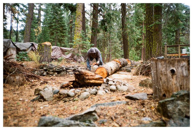 El Dorado National Forest, CA - Kodak Color Plus 200