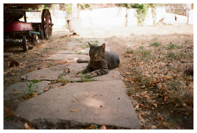 The Landlord; Rent is Due. - Kodak Pro Image 100