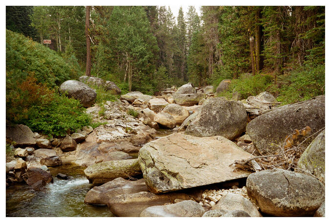 Kodak Pro Image 100
