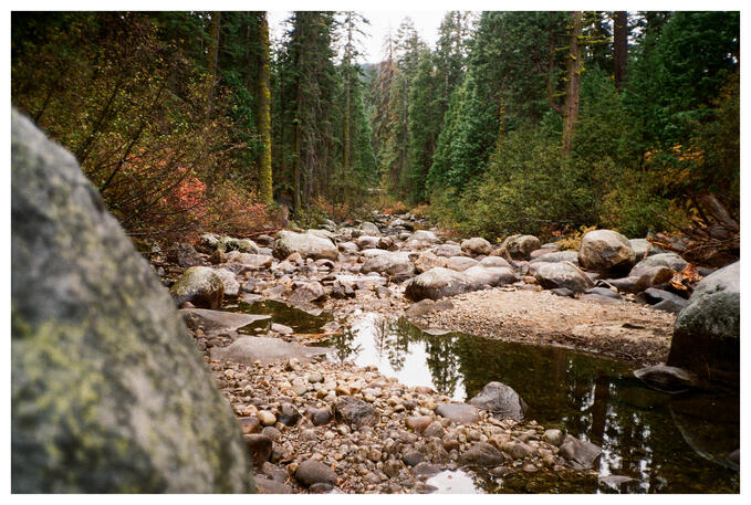 South fork of the American River near Strawberry, California. - Kodak Color Plus 200