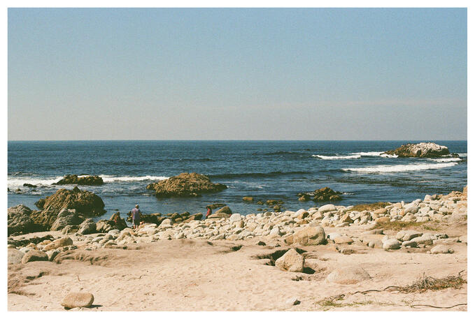 Monterey, CA - Kodak Gold 200