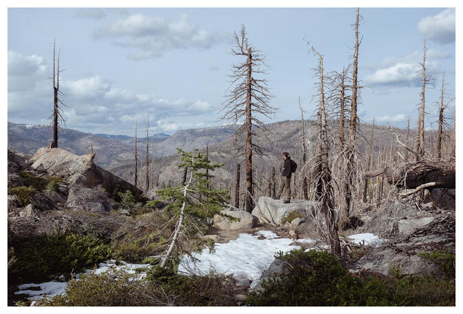 El Dorado National Forest
