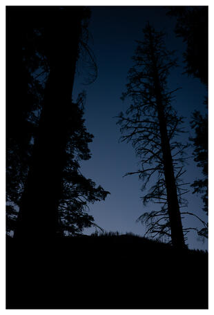 Strawberry, CA